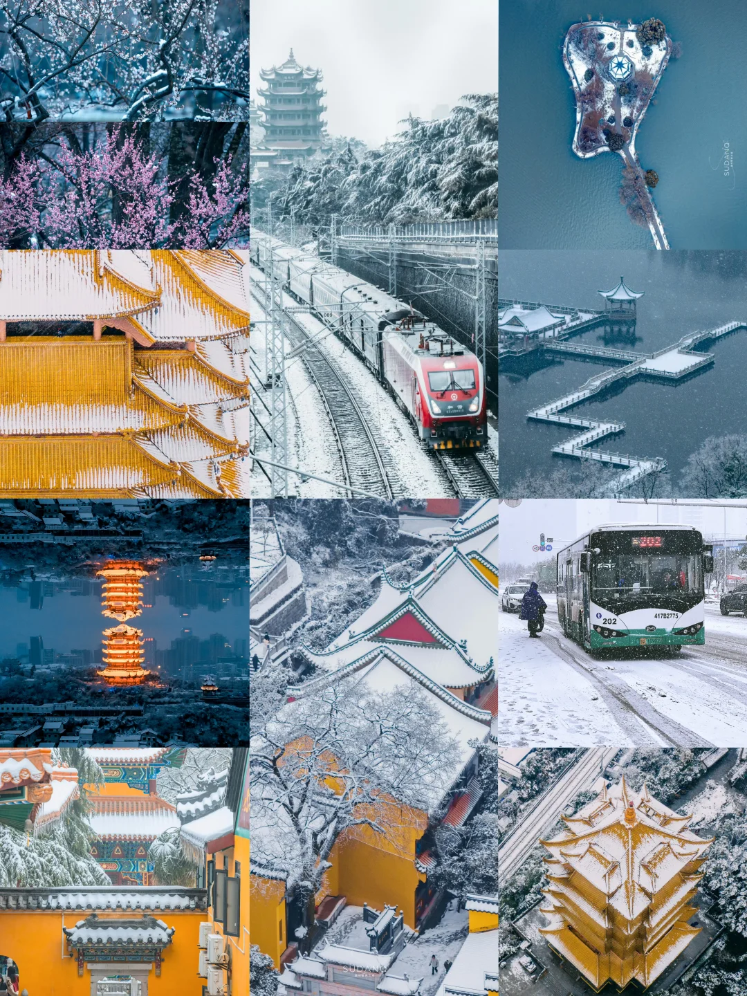 可惜你不在武汉❄️下雪后的武汉真的好美