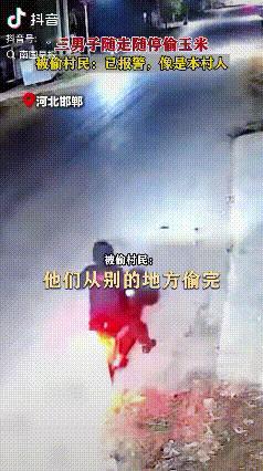 没脸在村里待了！河北邯郸，三名男子骑三轮车随走随停偷路边村民门前摆放成袋的玉米，