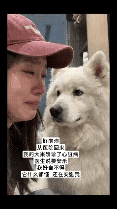 小姐姐：怎能不伤心，都养了那么多年了，已经是家人了。汪星人：叔都知道。