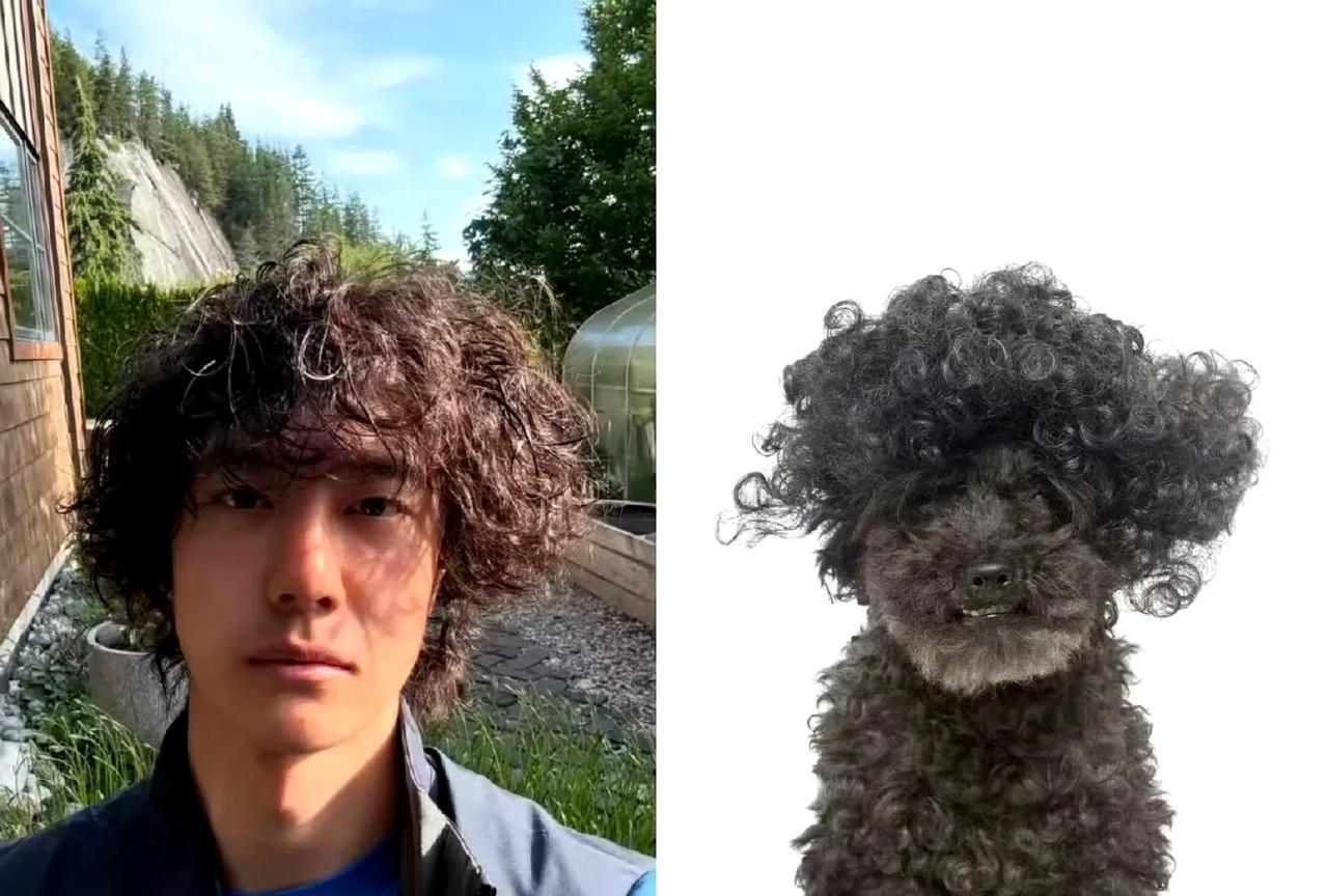 #王一博同款卷毛小狗#救命！王一博ins更新的照片太治愈了！蓬松卷毛的岩羊小狗