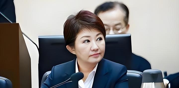 提起蓝营内部的"麻烦制造者"，许多人脑海里浮现的第一个名字大概率是赵少康。这位政