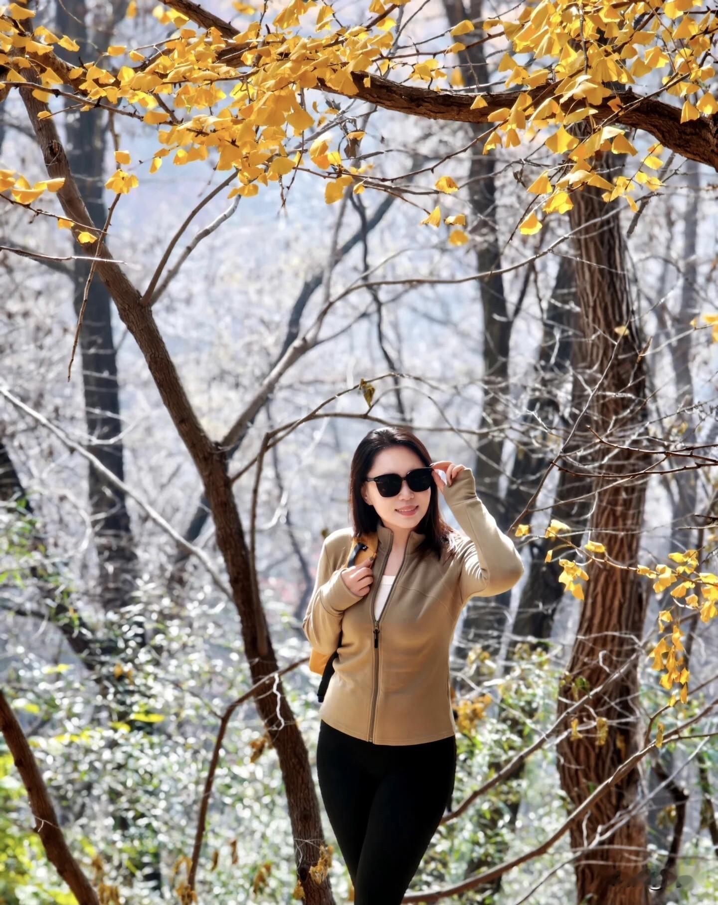 阳光洒满林间小道，感受大自然的美好。🍂🍁🍂