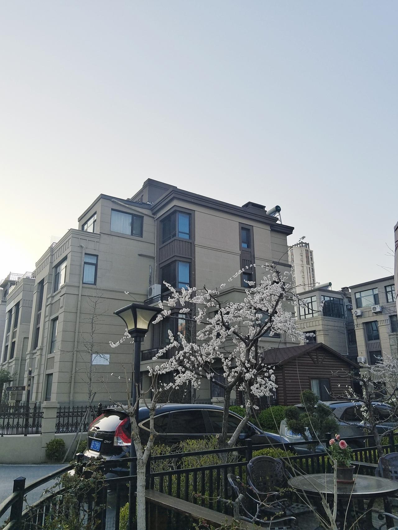 用镜头捕捉美丽瞬间