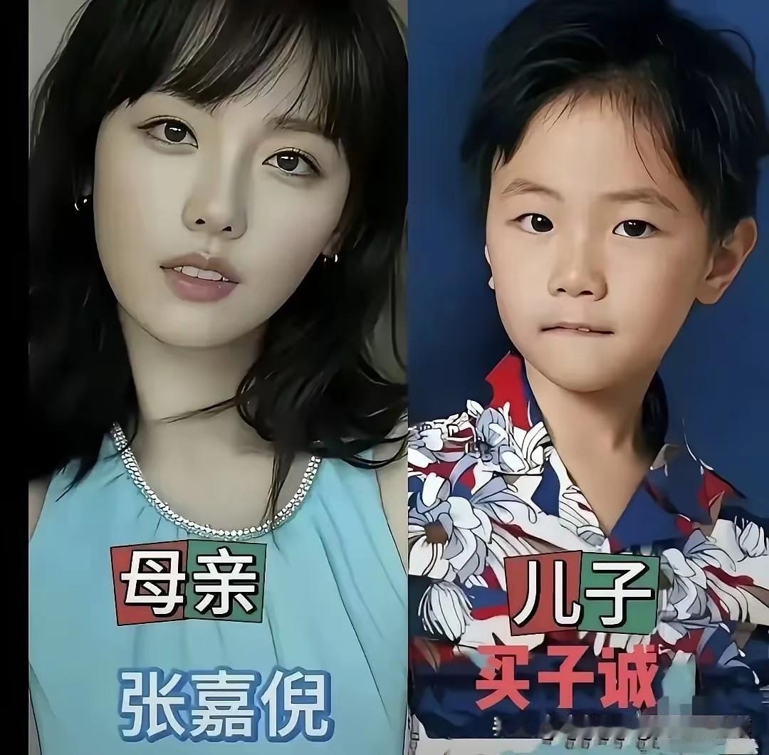 张嘉倪&儿子买子诚赵丽颖&儿子想想董璇&女儿高舒乔鲍蕾