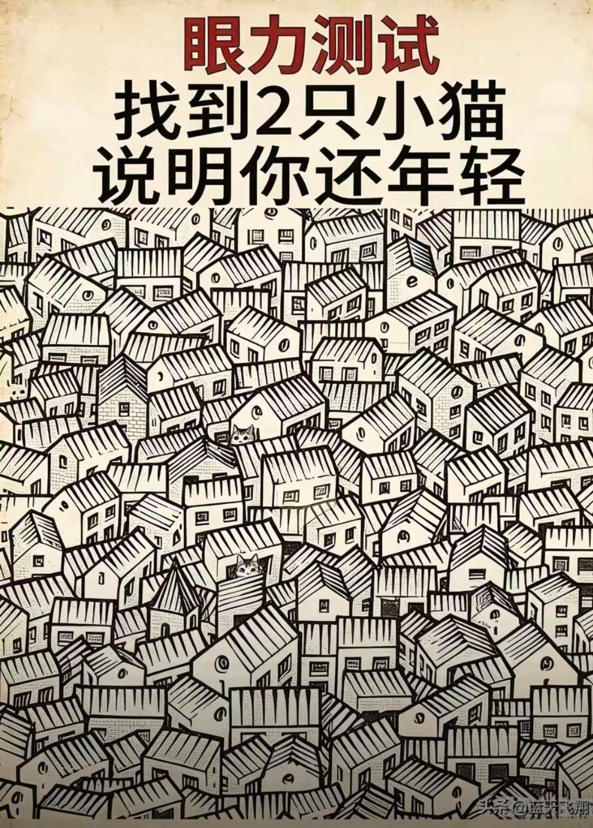 找找看，两只小猫藏在里面？