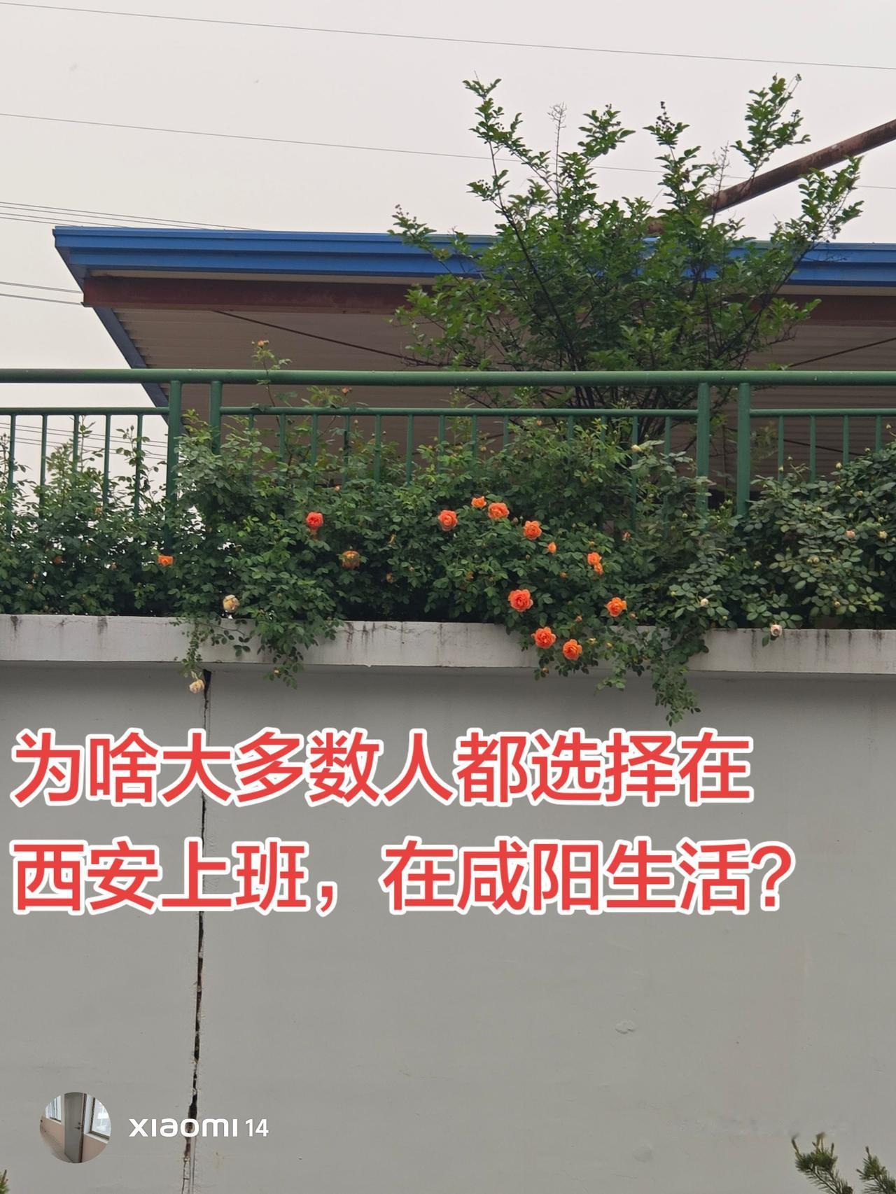 我身边的朋友大多数都在西安上班，只有一少部分在咸阳生活，在西安打工，他们觉得咸阳