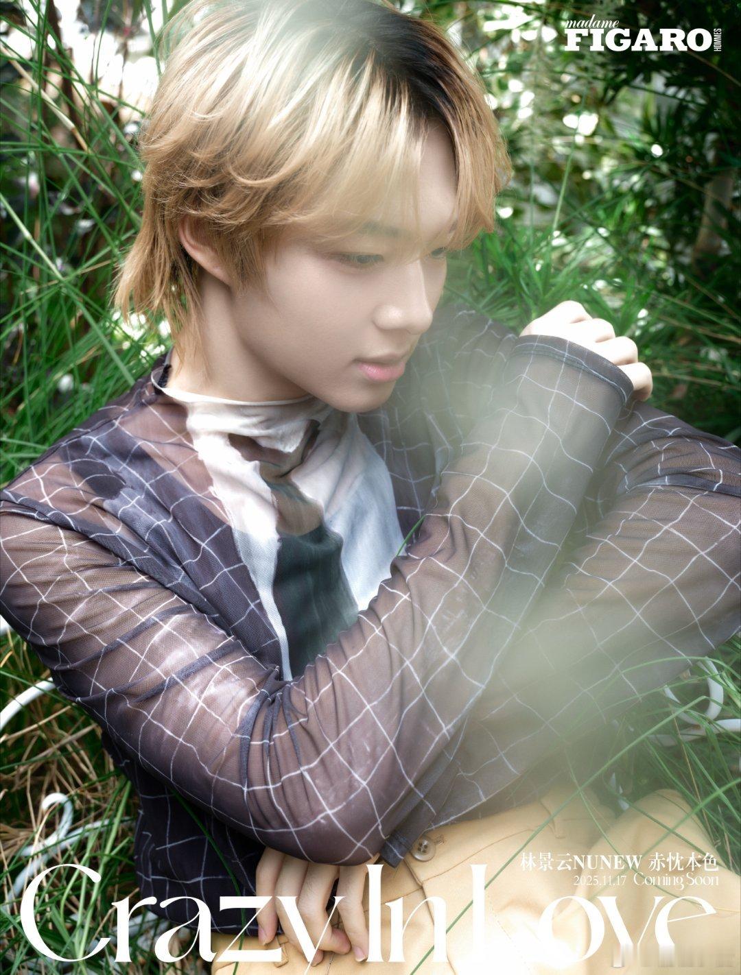 时尚大片来袭，林景云的复古格纹与奢华毛领，轻松驾驭冬日潮流。