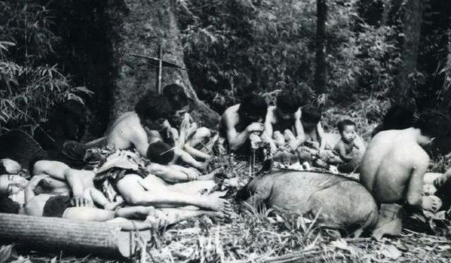 1956年，解放军在云南原始森林深处，发现一群衣不蔽体，蓬头垢面的男男女女。