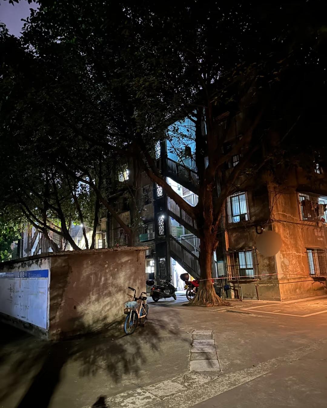 昨晚散步路过一栋楼，突然听见楼上传来炸锅似的叫喊声，我脚步一下顿住了——这熟悉的