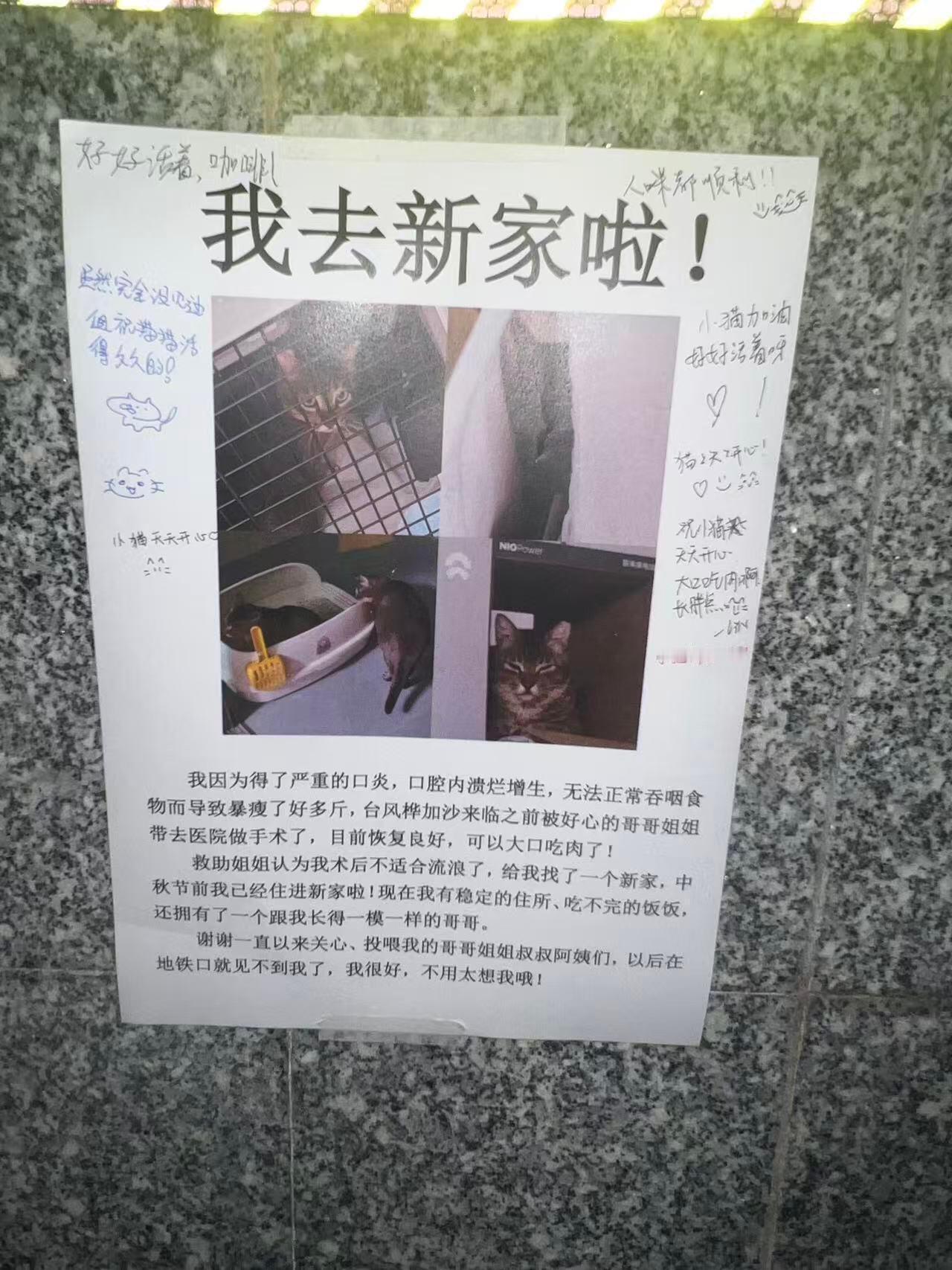 人活着就是为了看这些东西的！​​​