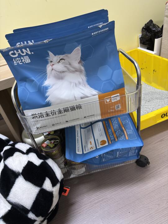 谁能想到养猫的尽头是这？