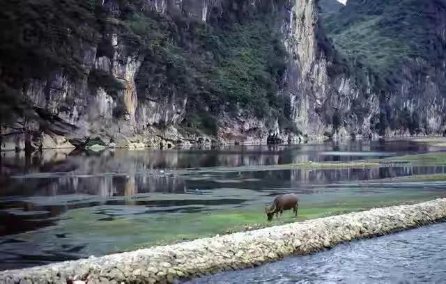 这些照片是1985年一位外国人拍到的桂林山水，那时候还没有搞旅游开发，美好的风景
