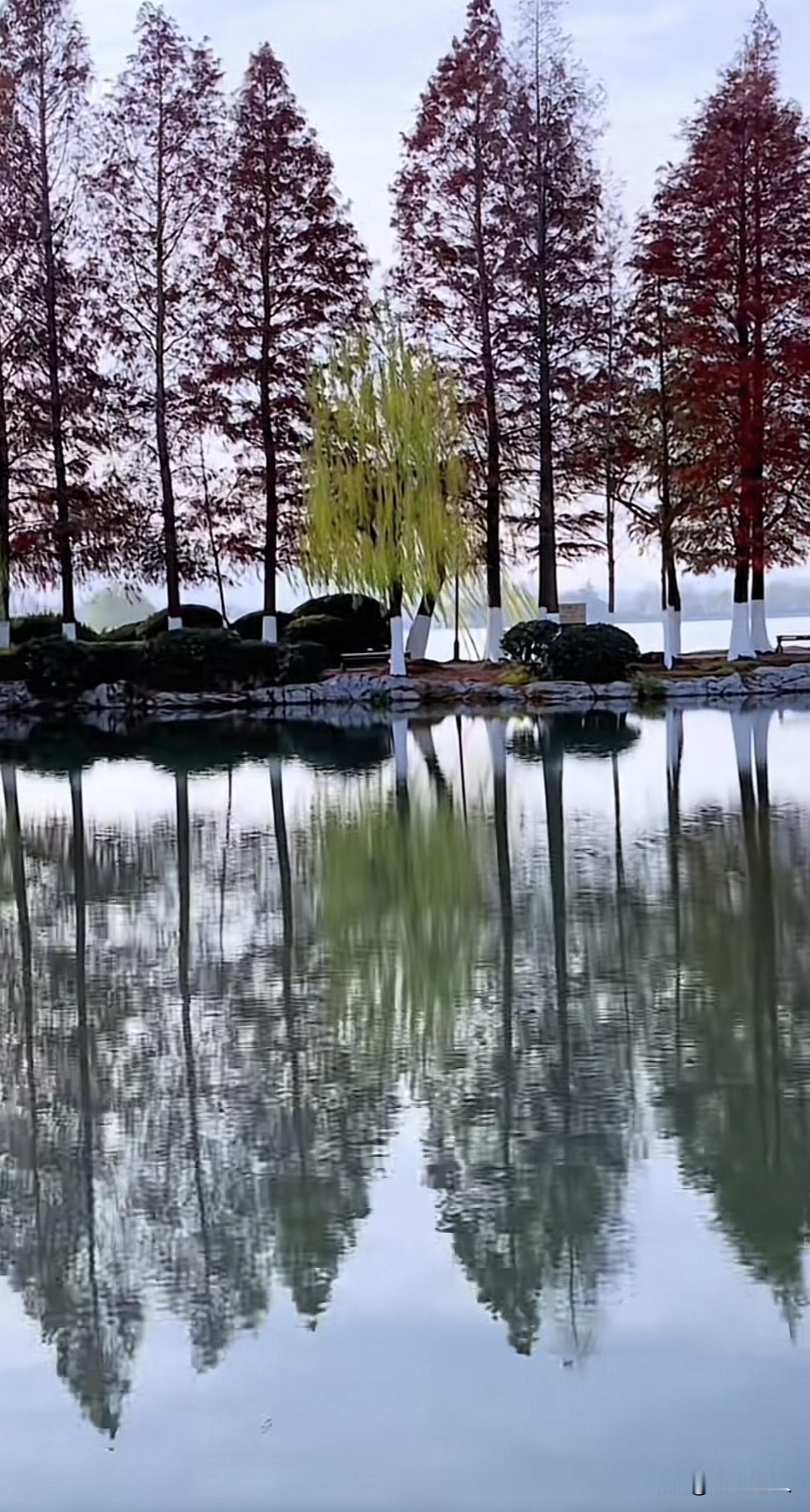 新思维：无论世界好坏，皆是报应，你应该高兴世界的“好”是你过往善意的回声，“