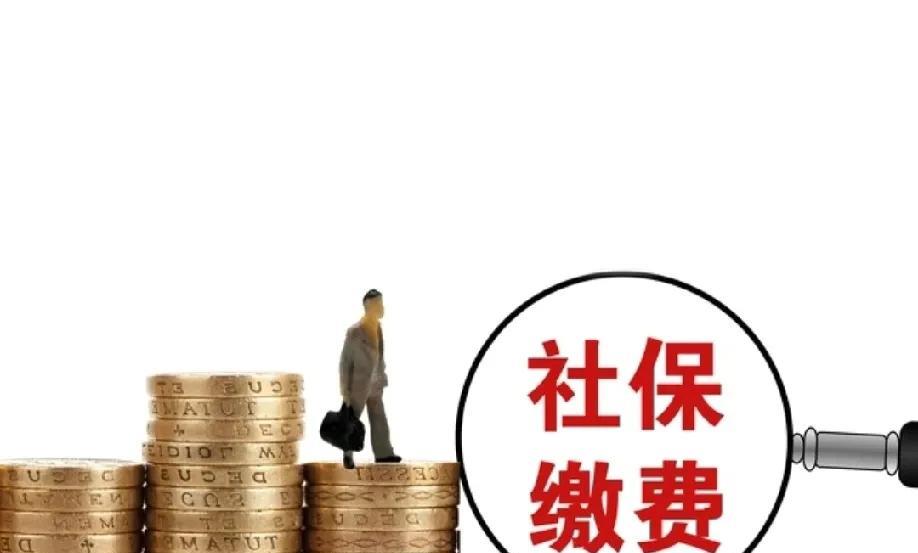 什么叫视同缴费？一个专家是这么说的，以前三四十年代的老革命都没有缴过养老保险，他