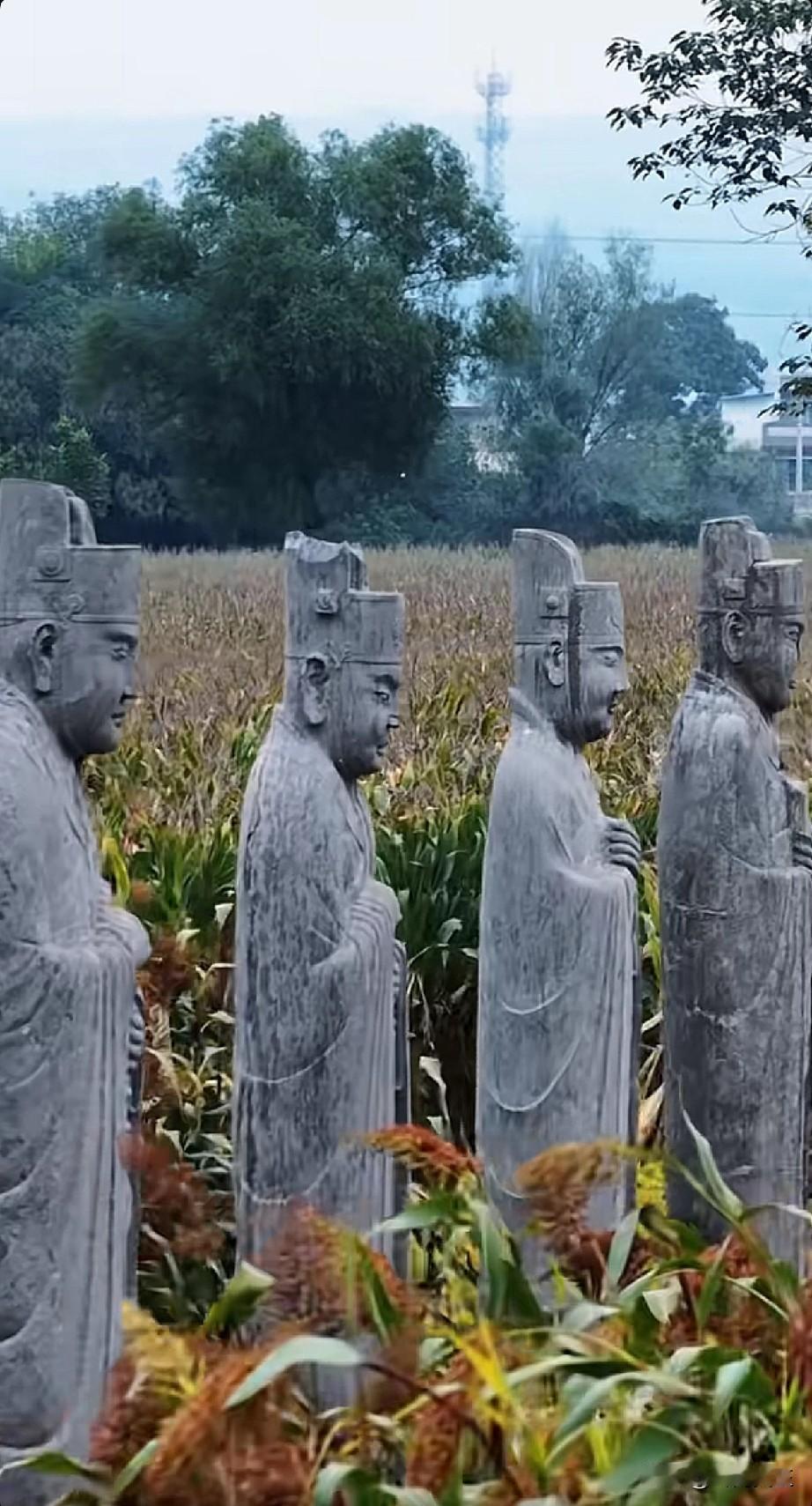 简直是暴殄天物呀！这是北方坐落在麦田的古代石雕！准确说应该是麦田坐落在古代石雕里