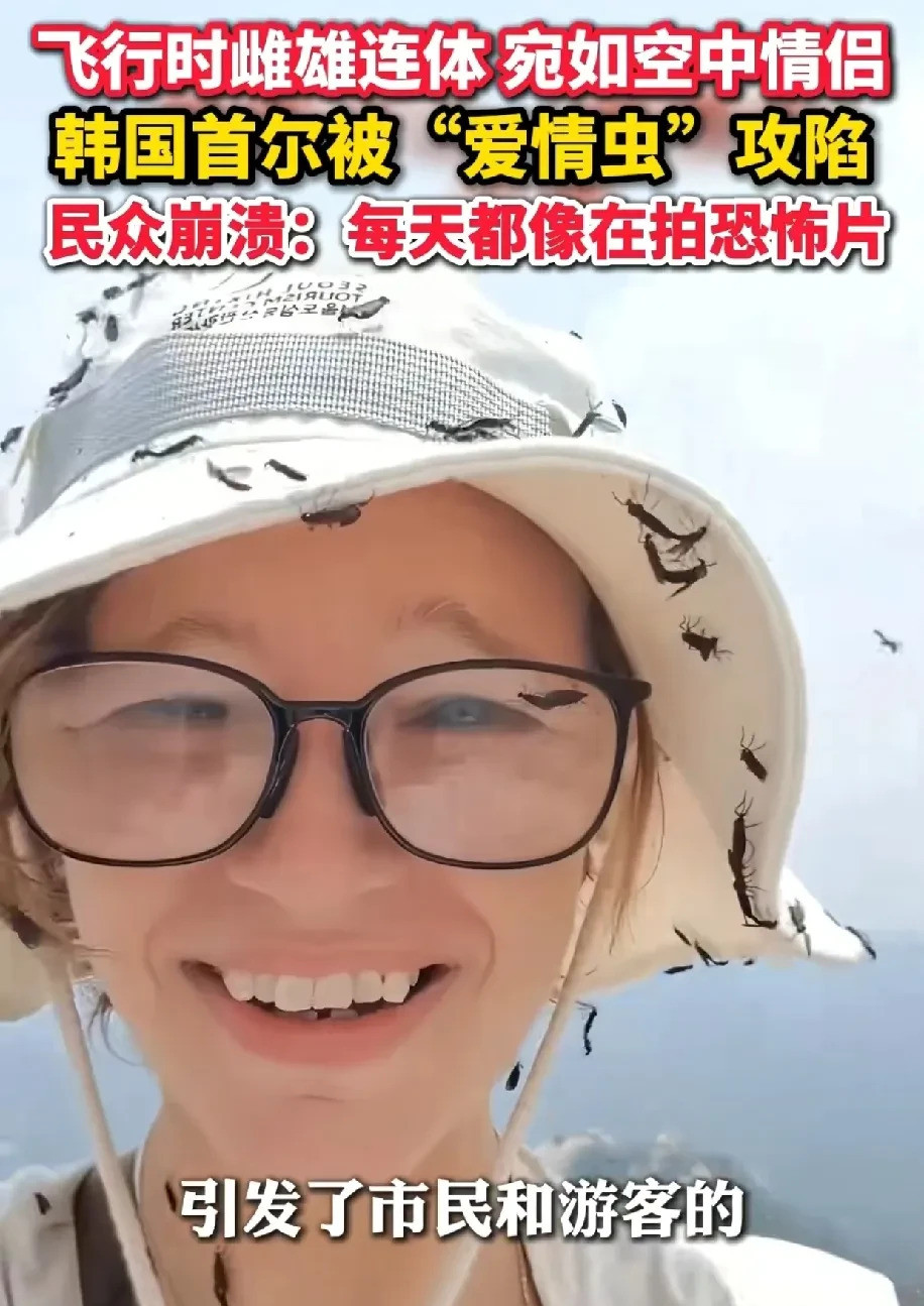 韩国虫灾太可怕，爱情虫泛滥求支招天呐！韩国首尔这是咋了？