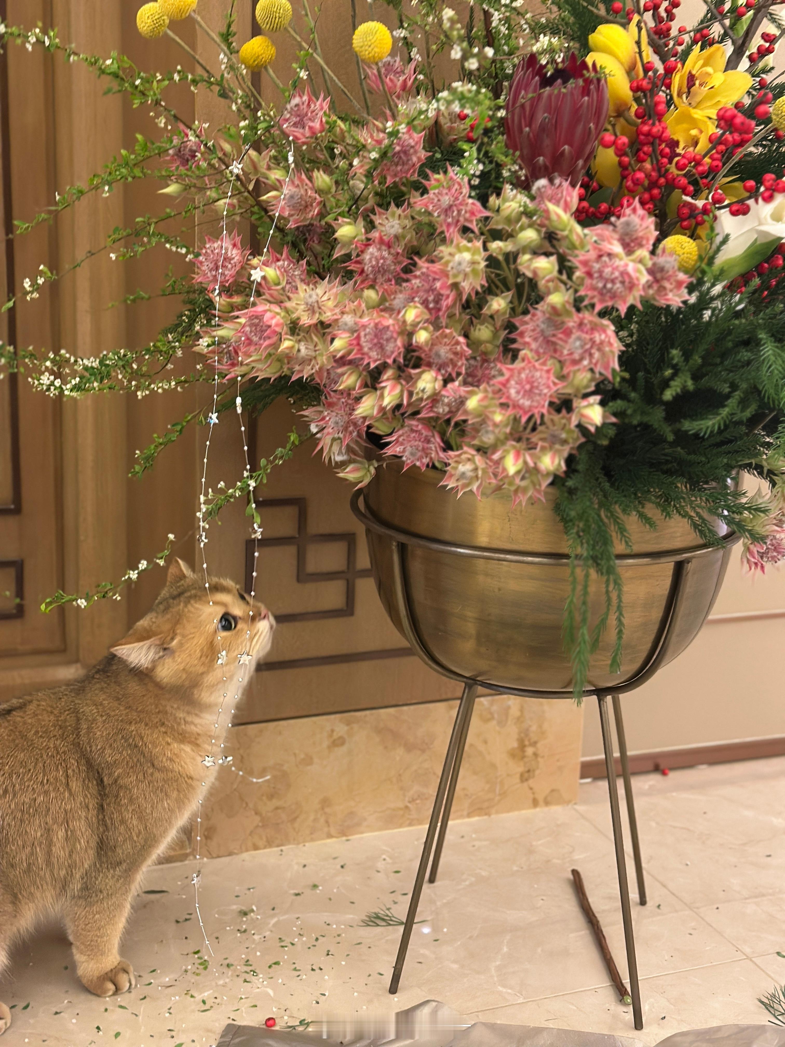 年末总结喜乐起点🔺太原