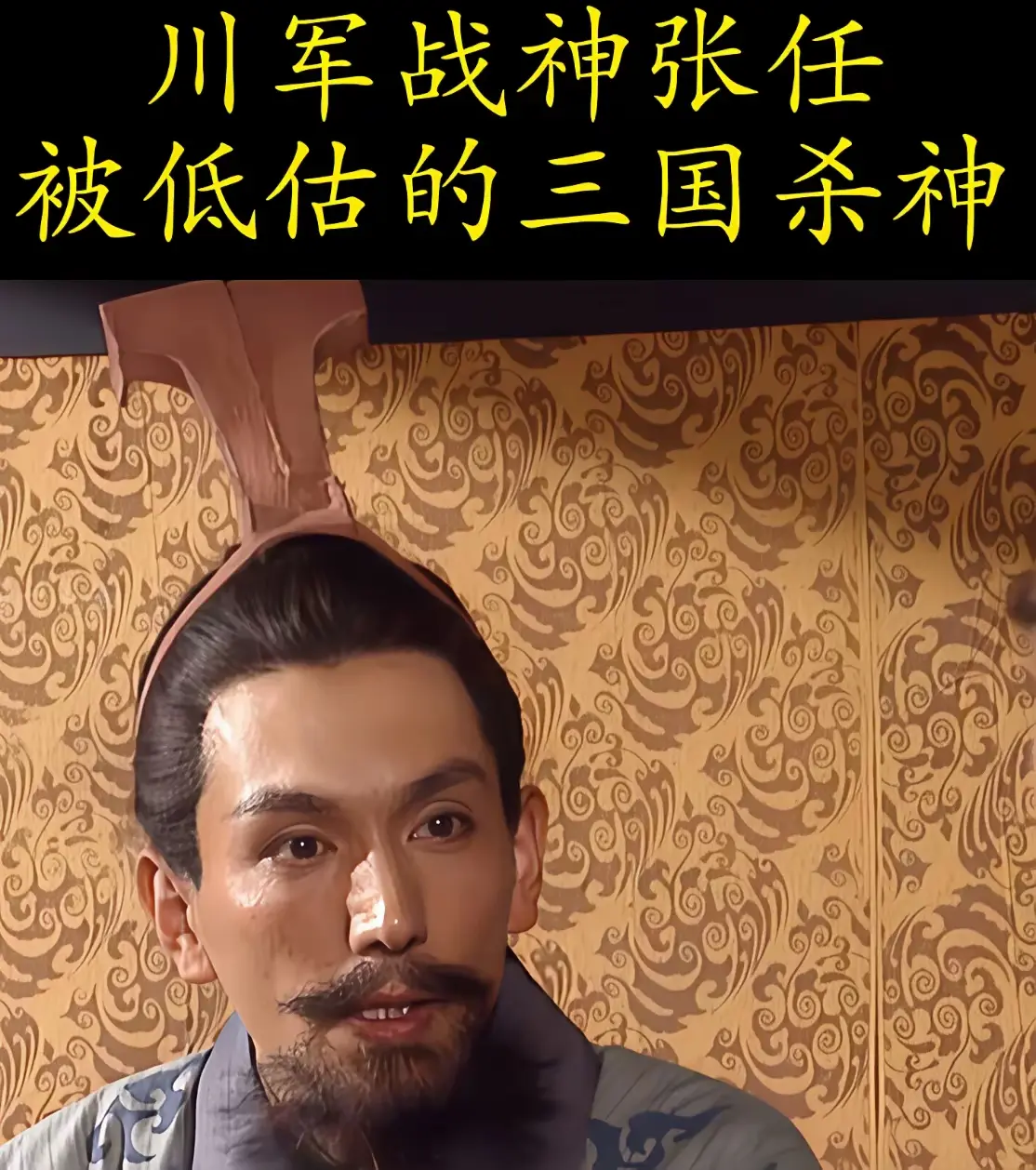 张任一箭射死了庞统。庞统是刘备的军师，跟诸葛亮齐名。刘备的军师被射死了...