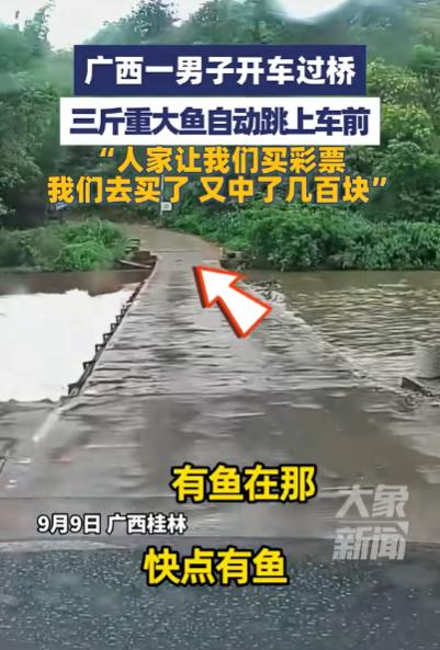 “这就是命啊！”9月9日，广西桂林，一男子开车过桥，突然，一条3斤重的大鱼从河里