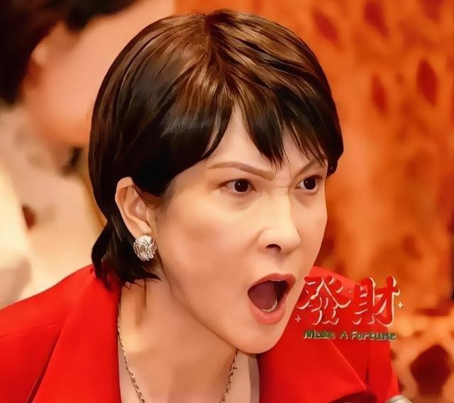 日本政府宣布了！2025年12月30日，日本政府宣布从明年7月起，所有坐飞机或轮