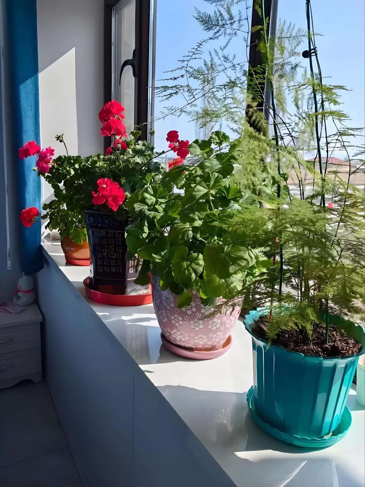 省3个月饭钱买件羽绒服，被骂1小时？这样的婚到底图啥？隔壁邻居两口子今天吵翻