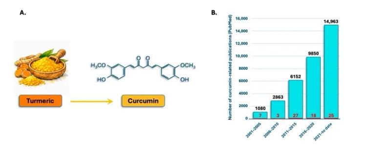 抗动脉硬化有了新路子！《Nutrients》这篇重磅研究盯上了你家厨房里那个“黄