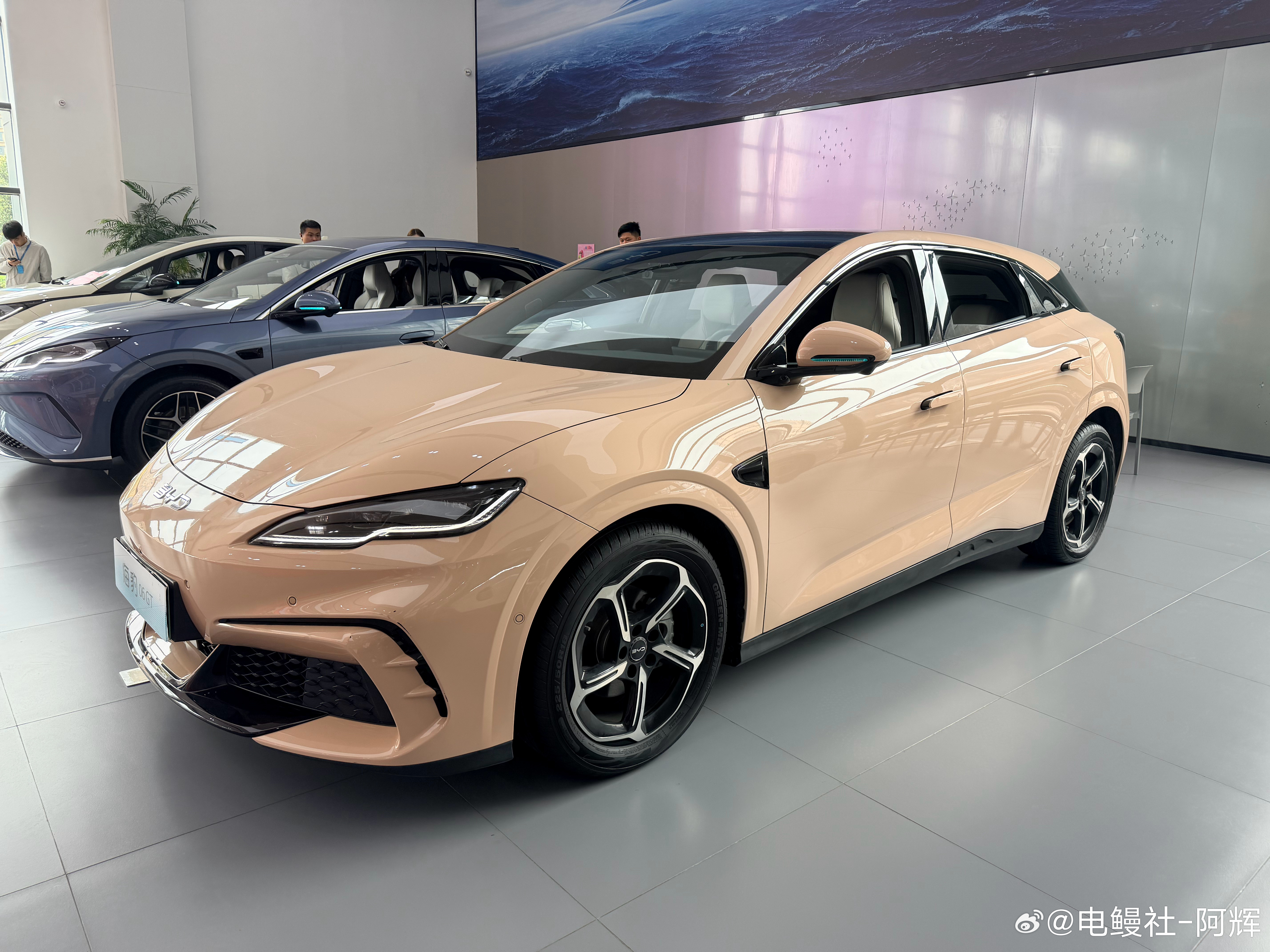 上午来海洋网看看，自然人流还不错！看了一圈我还是最爱海豹06gt了，我都不敢想