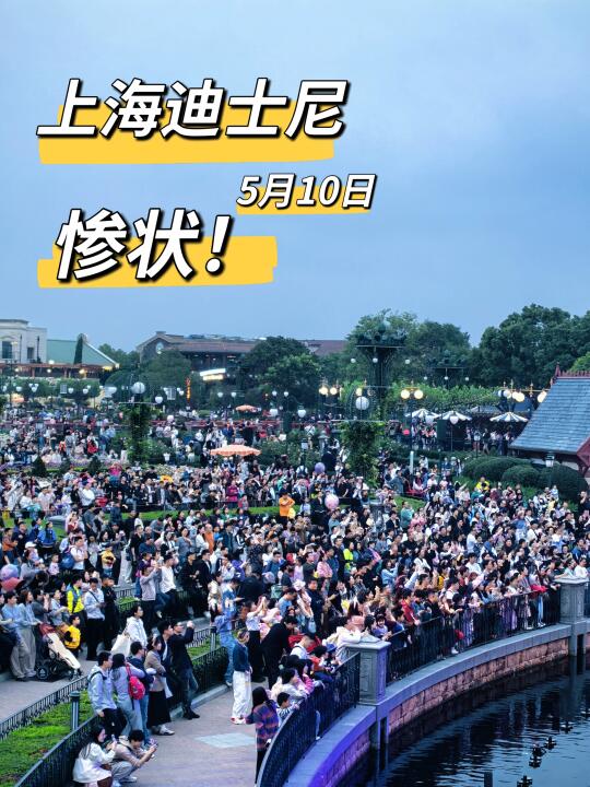 上海迪士尼5🈷️10号惨状！准备来的注意！听劝