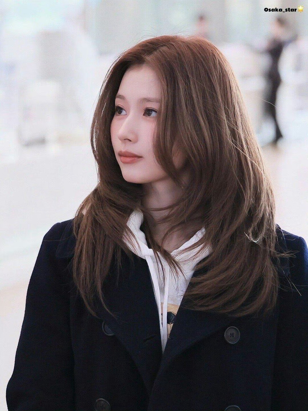 该和高颧弓配套一起出生的完美发型….