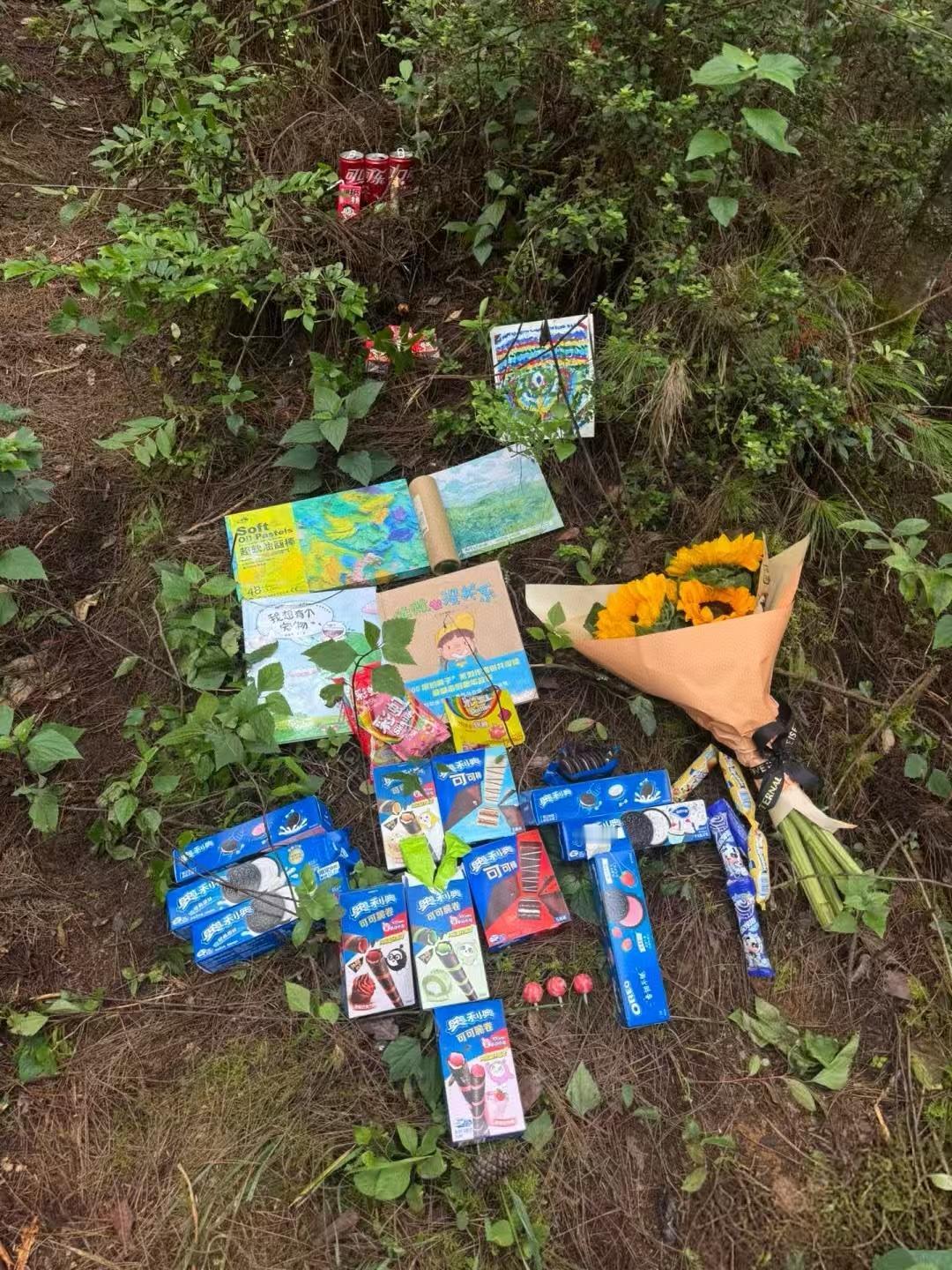 苍山遇难8岁男童王一凯的尸检报告出来了，和大家猜测的差不多。8月27日王