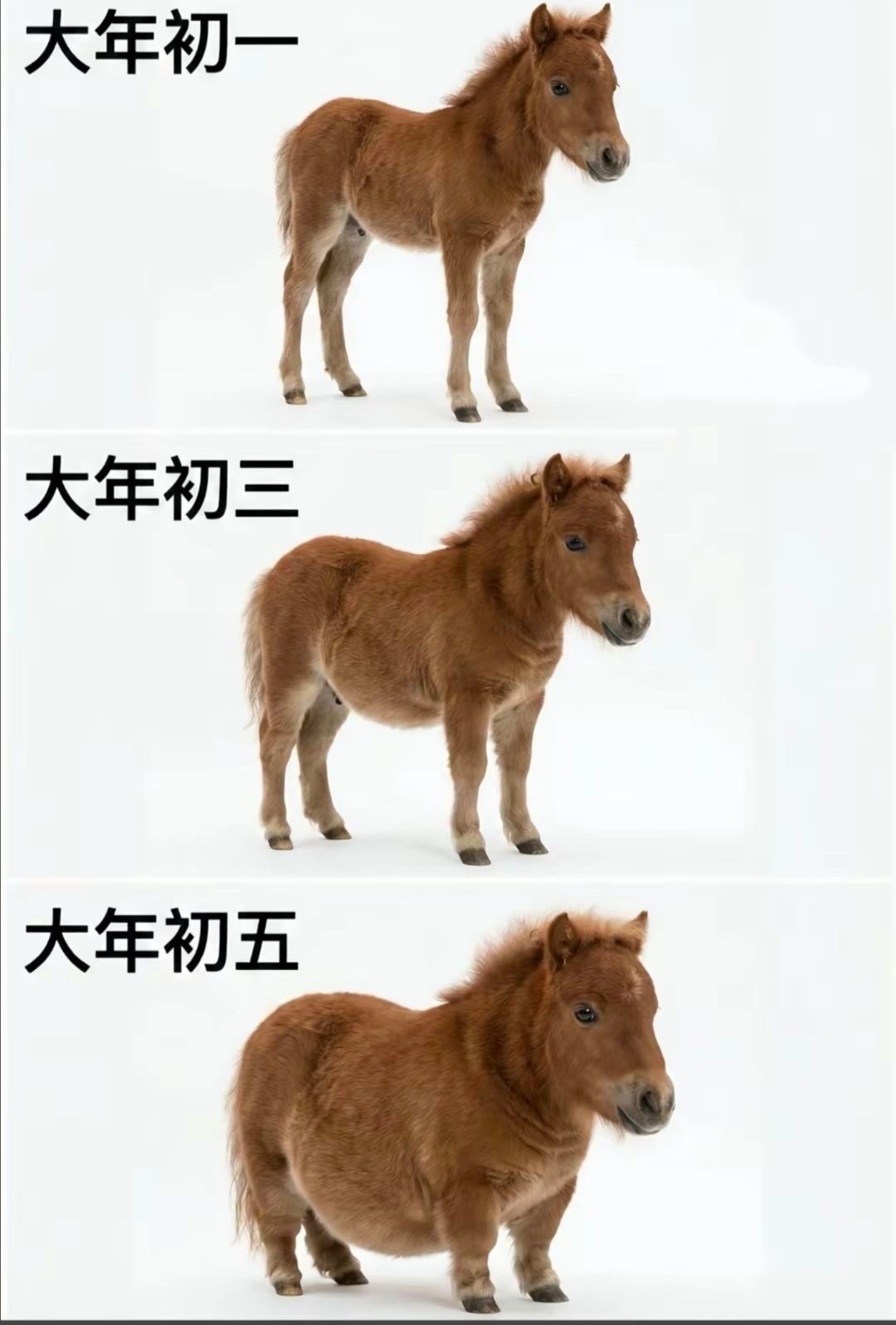 过完年后的我belike：