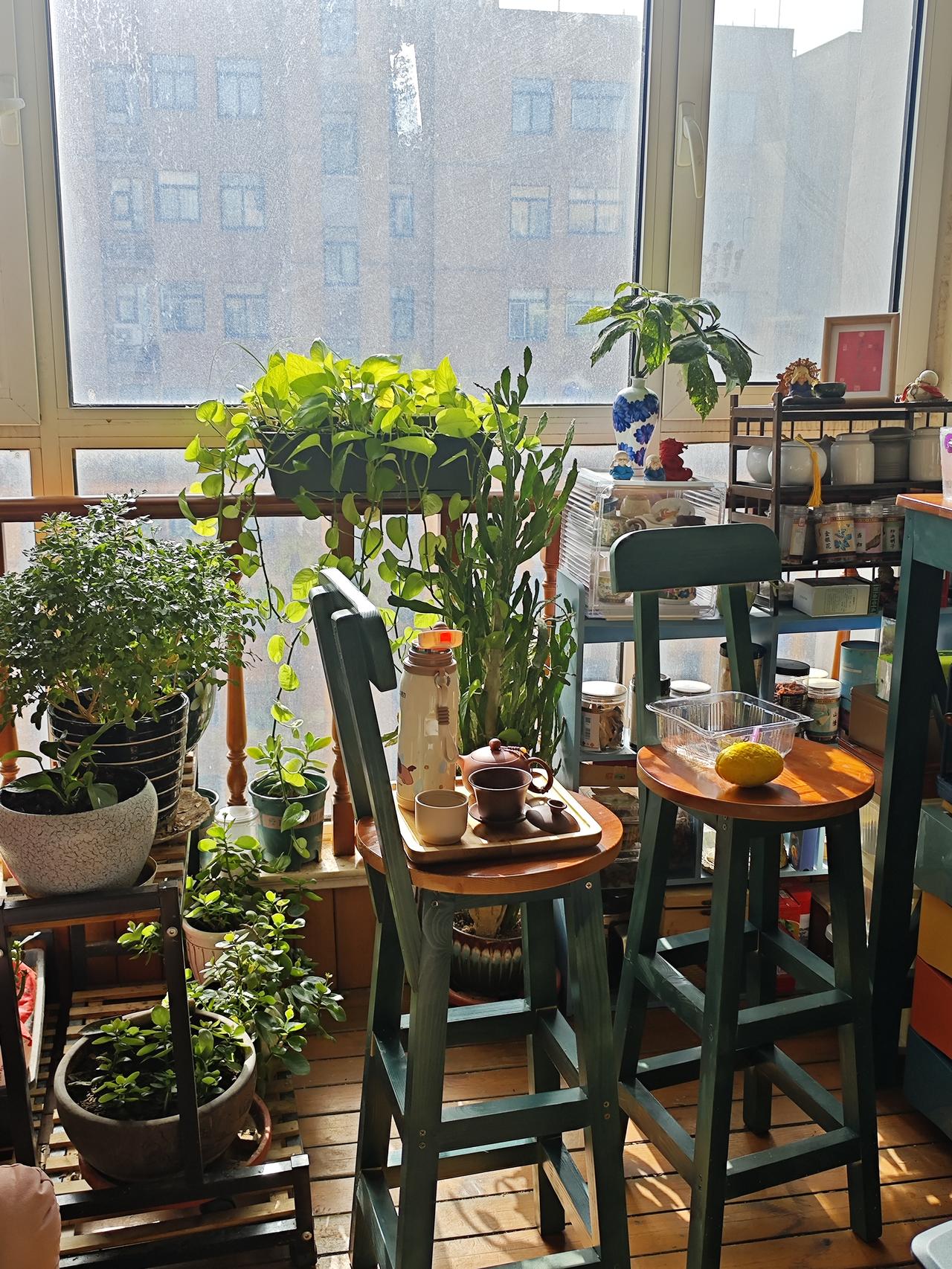 我退休在家，上午如果没有需要外出的，我都留在家里，冬天一般上午10点左右我在家里