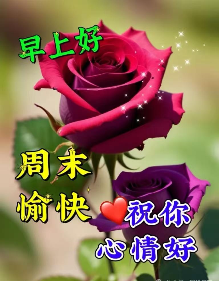 把永恆的祝福，送給在乎的人，真誠沒有距離，牽掛永在心裏，人生真不容易，