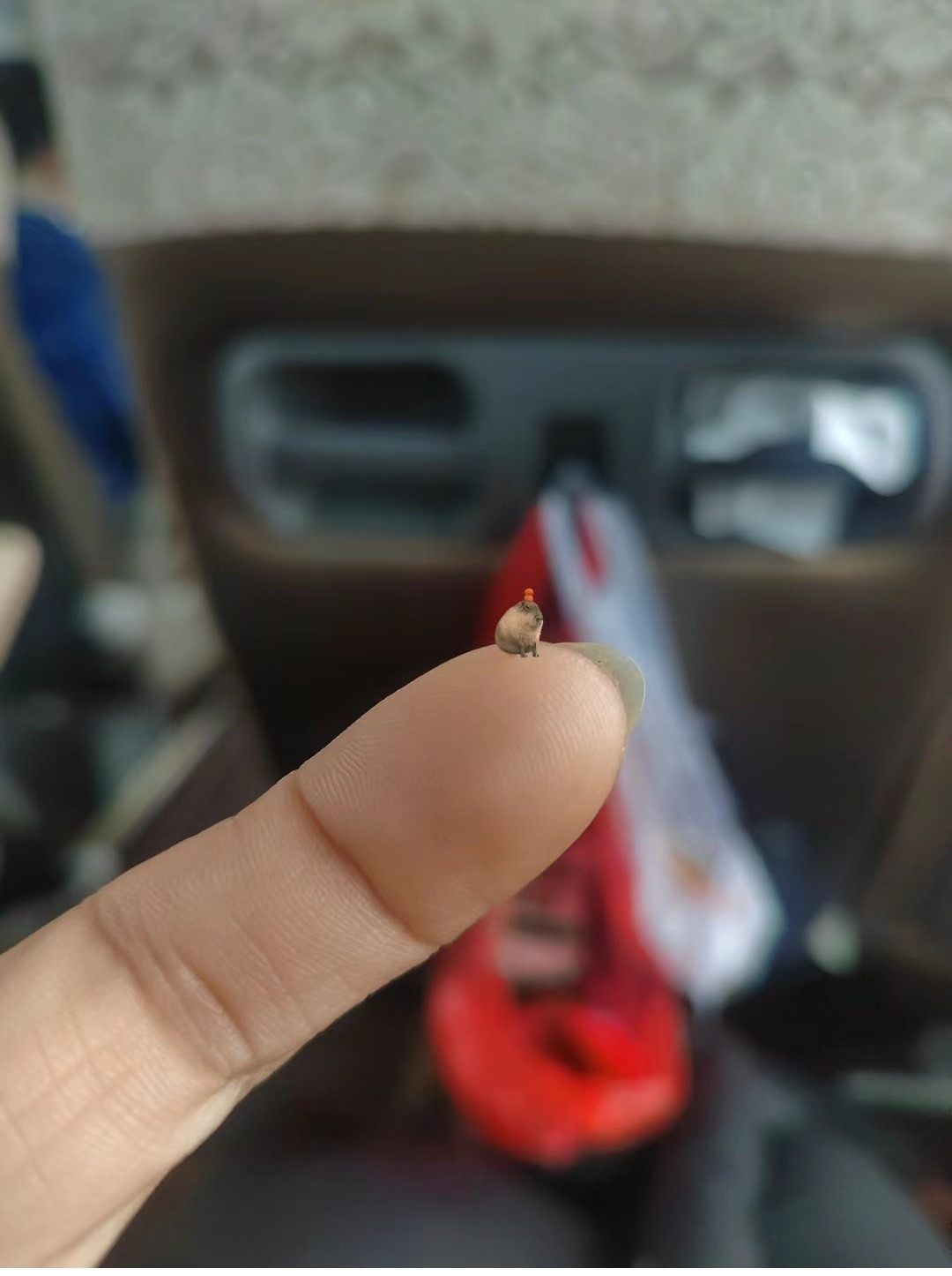 谁懂一下就把痘根扯出来的快乐？！开学变美手册