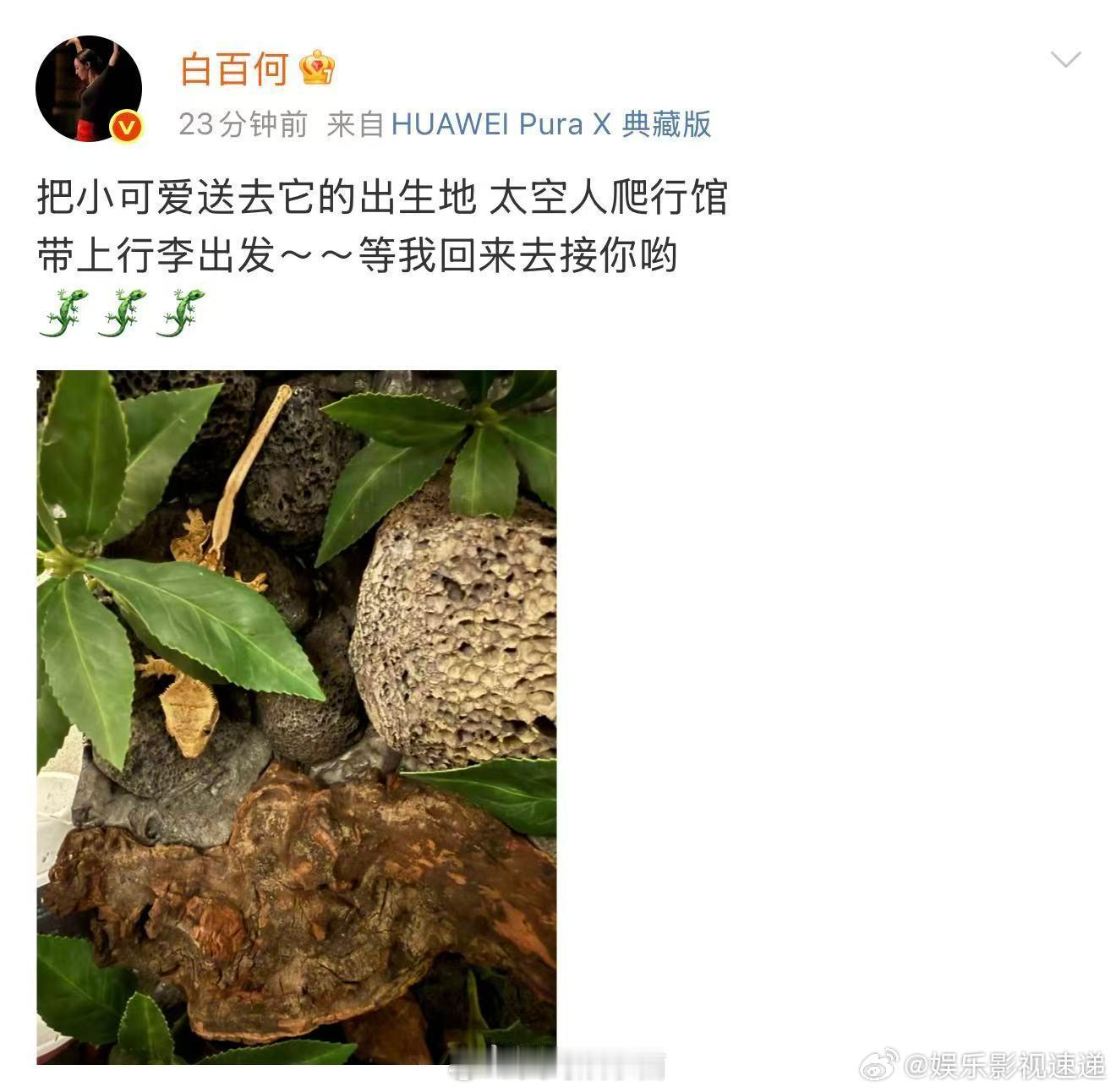 白百何说带上行李出发机场造型简约又不失细节，步伐轻快，眼神坚定，仿佛在告诉大家
