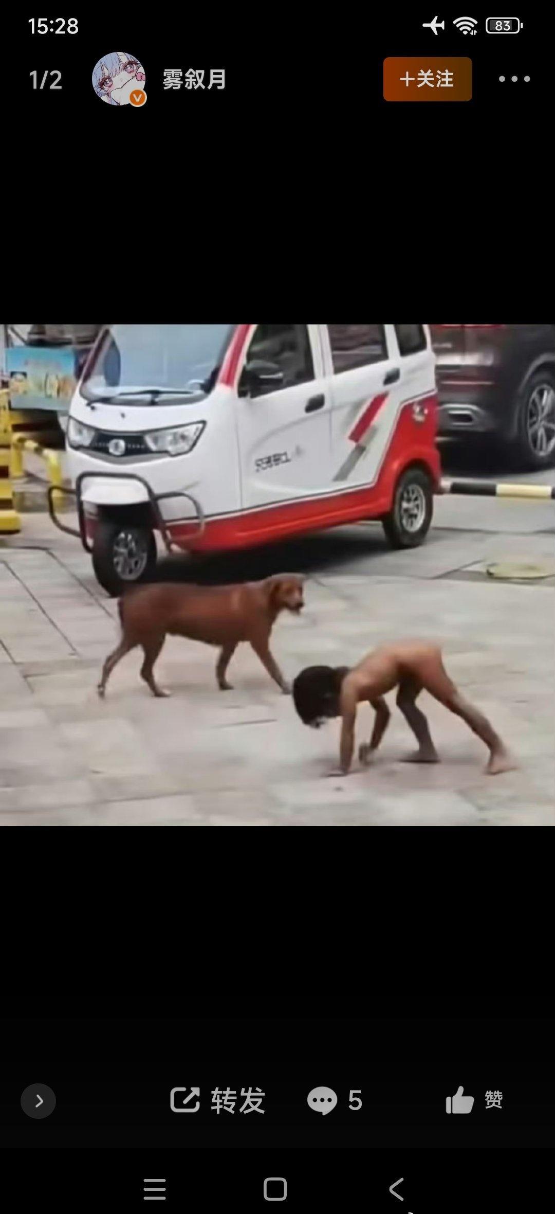 不穿衣服的原因是严重皮肤病？严重湿疹？传染性严重皮肤病？传言2名儿童没上户口（包