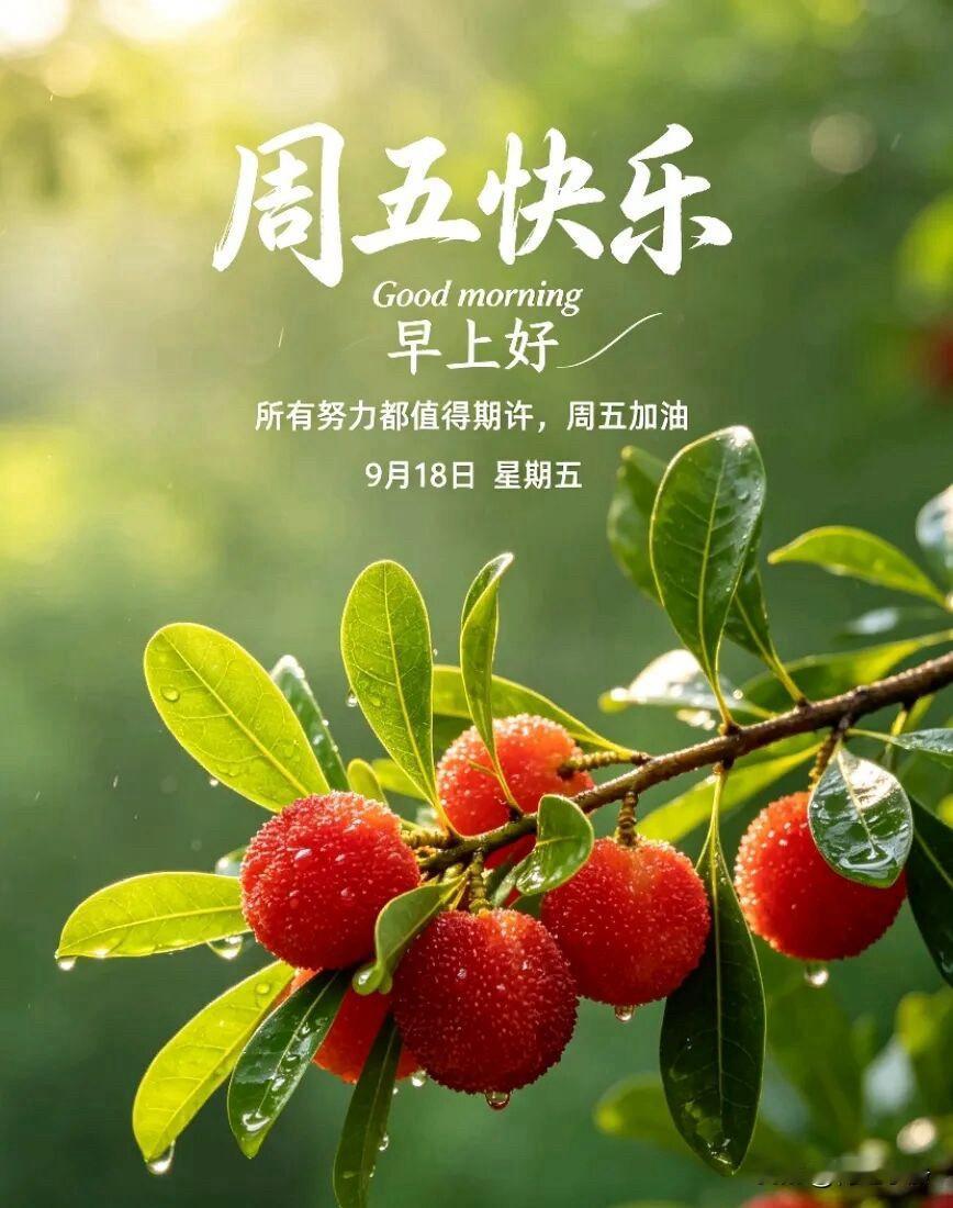 🍂²⁰²⁶/₀₉.₁₈ᵕ̈周五早安☕️🍒🍑🐎秋风轻拂窗棂，晨光漫过