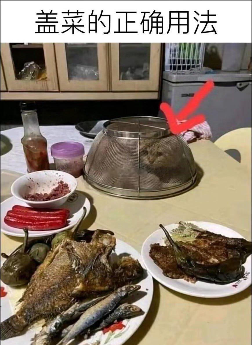 盖菜的正确用法