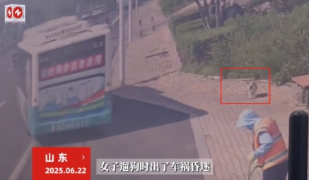 “万物皆有灵！”6月22日，山东，一女子出门遛狗时，不慎出现了车祸意外，救护车赶