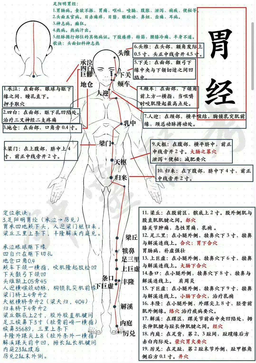 中医入门知识：十四经穴位+辨位歌诀​​​