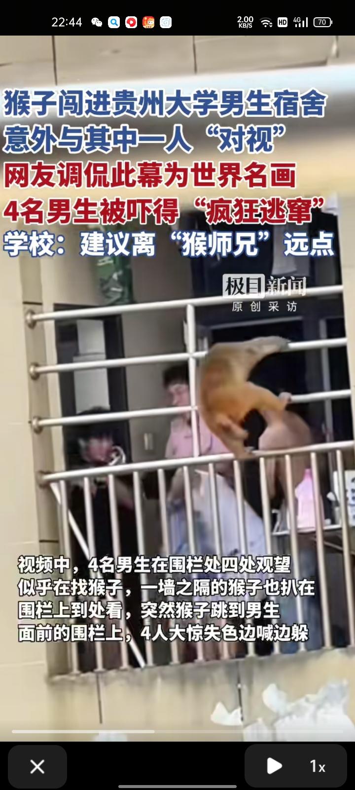 9月20日，贵州贵阳。有学生发布一条猴子闯进男生宿舍的视频，引发热议，该视频点赞