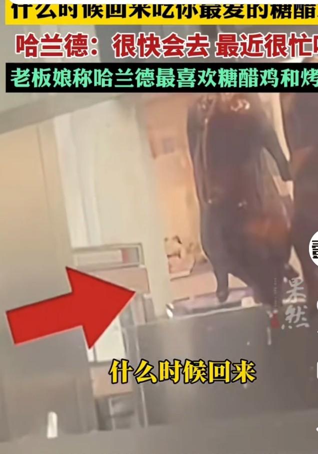 这届世界杯挪威队表现太拉胯，一平两负直接出局，哈兰德更是一个球没进。就在这时，挪