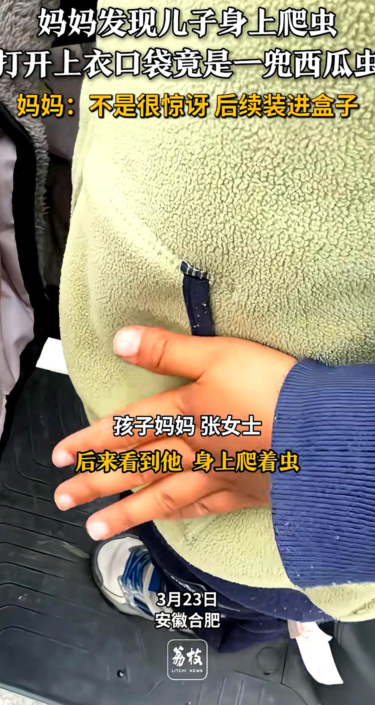 你家娃的口袋是不是也像个百宝箱？安徽一位宝妈就遭遇了惊魂一幕！她发现儿子外套