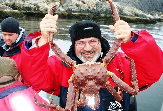 1960年，苏联科学家为了实现吃蟹自由，于是将3000只帝王蟹空运到欧洲海放生，