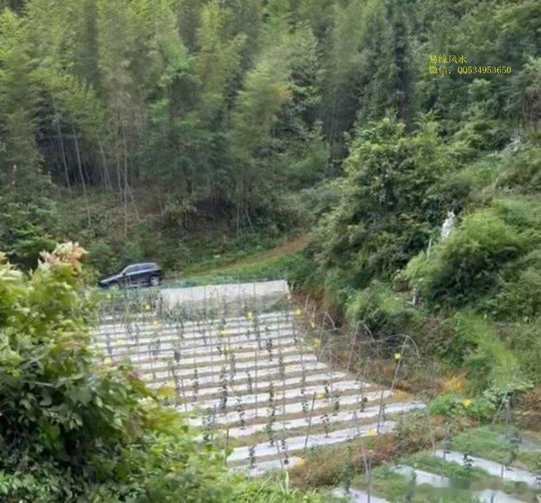 地理风水，期望值很大，最终却注有出现明显富贵。其主要原因就是过于注重形峦，少关注