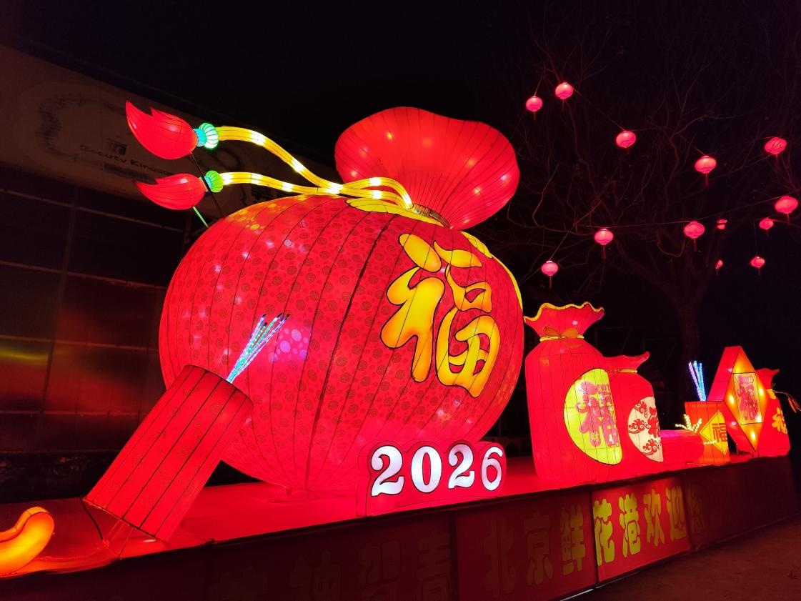 8000盏彩灯璀璨绽放 北京顺义鲜花港打造沉浸式新春灯展