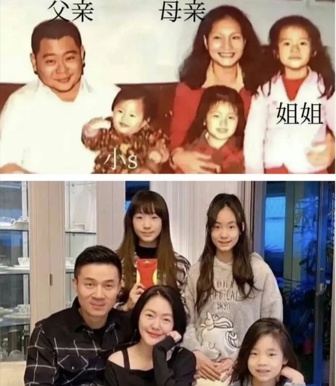 大S和小S这对亲姐妹闯荡娱乐圈31年，最让观众震惊的不仅是她们迥异的性格，更是两