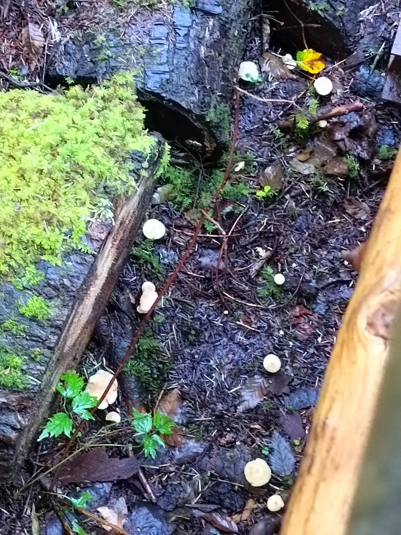 我的2025年度总结中大乐透一等奖