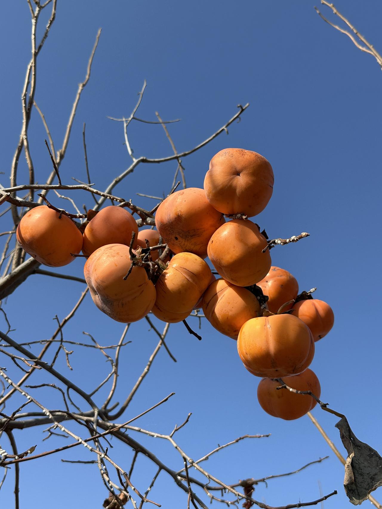 2025年12月1日，美联储正式停止量化紧缩（QT），结束了自2022年6月启动