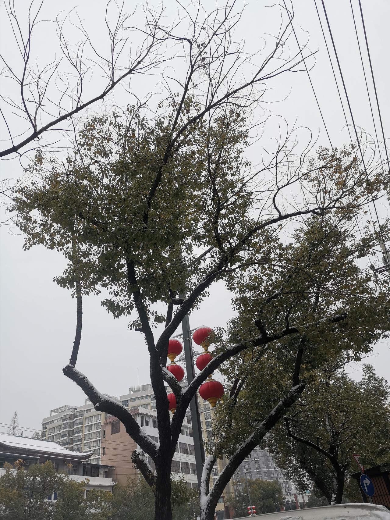 班主任补课只收现金马上要期末考试了，班主任上周在补课班小群里通知学生缴补课费